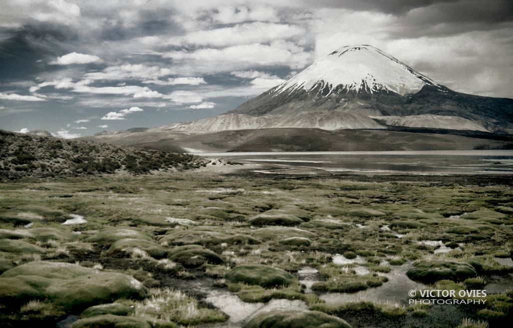 Parinacota - Putre (Altiplano chileno)